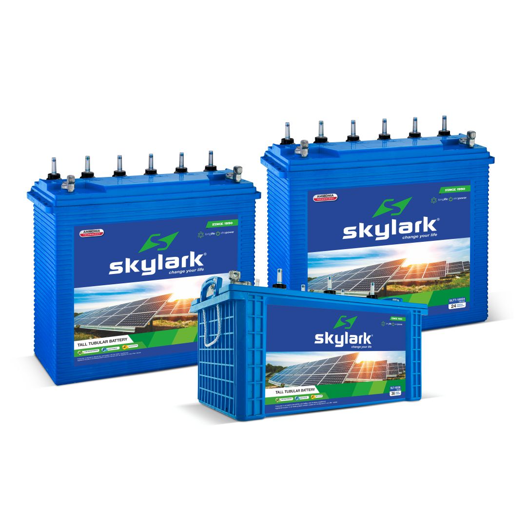 Inverter Batteries